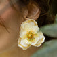 Arete Camelia Garden