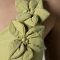 Top Camelia