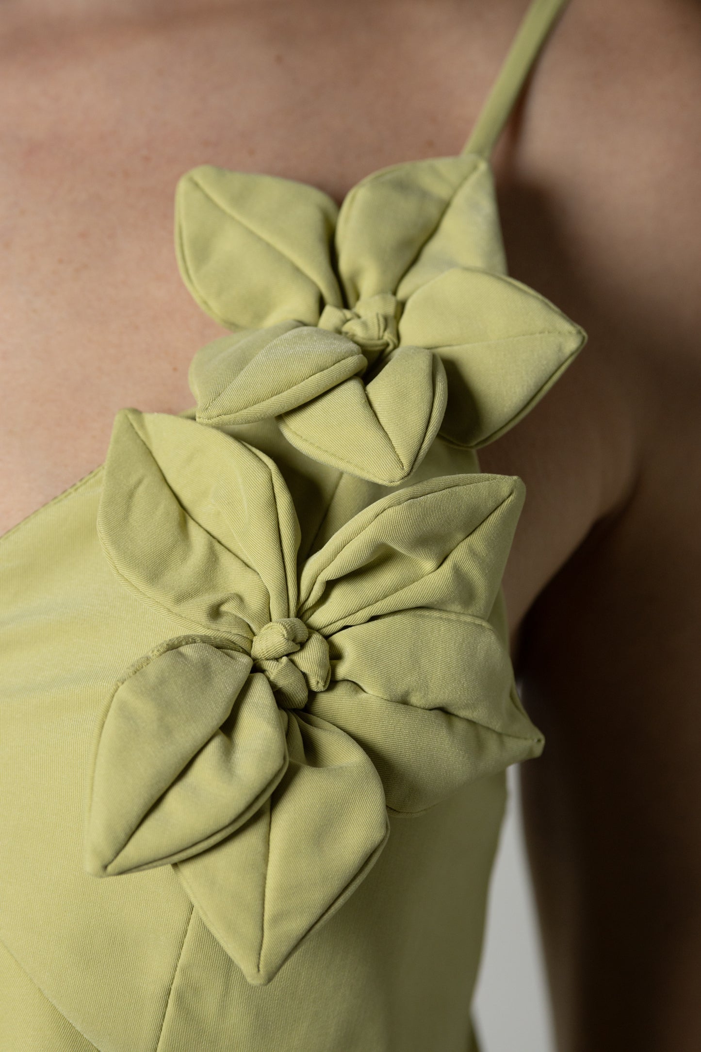 Top Camelia